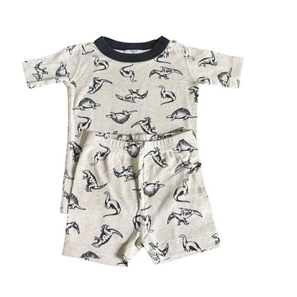 Hanna Andersson Dinosaur Pajamas Size 100 - Picture 1 of 2